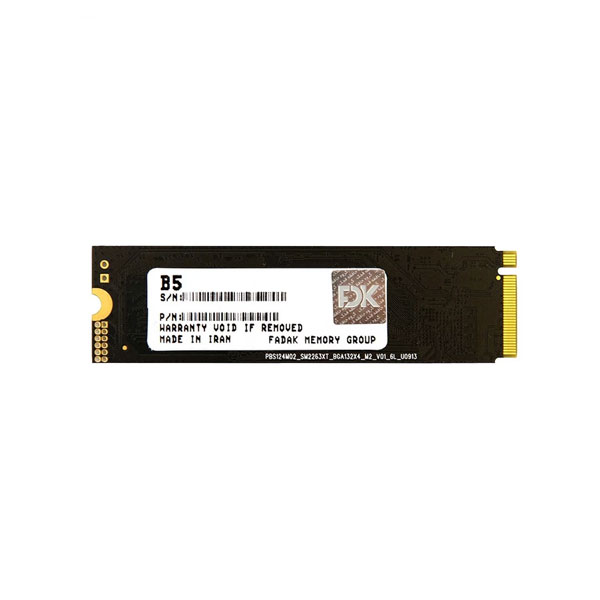 اس اس دی اف دی کی مدل FDK M.2 B5 256GB